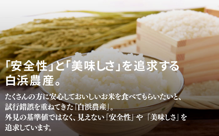 【R7年度産】夢しずく（白米） 10kg 【白浜農産】 米 10kg 特A 特A評価  精米  佐賀県産 国産米 コメ こめ お米 白米 ブランド米 精白米 おにぎり ゆめしずく 夢しずく 九州 佐賀県 白石町 人気 おすすめ[IBL020]
