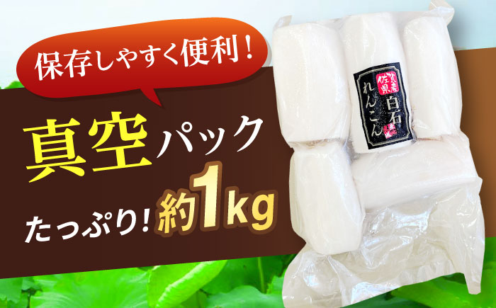 【お手軽調理！】白石町産 水煮れんこん 計1kg（真空パック）【有限会社白石開発】蓮根 れんこん レンコン [IBN005]