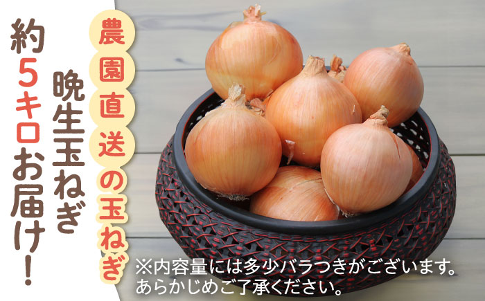 【農家直送！】こだわり 晩生 玉ねぎ 約5kg【一ノ瀬農園】たまねぎ 玉葱 [IBQ010]