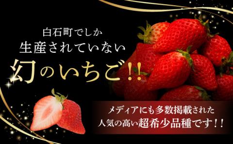 【R8年1月以降発送】【際立つ甘さ！】幻のいちご『咲姫』 2パック（計450g以上）【中村いちご農園】イチゴ [ICB001]
