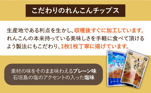 【ギフトにもおすすめ！】れんこん加工品の詰め合わせセット【有限会社マルハ園芸】蓮根 [ICC007]