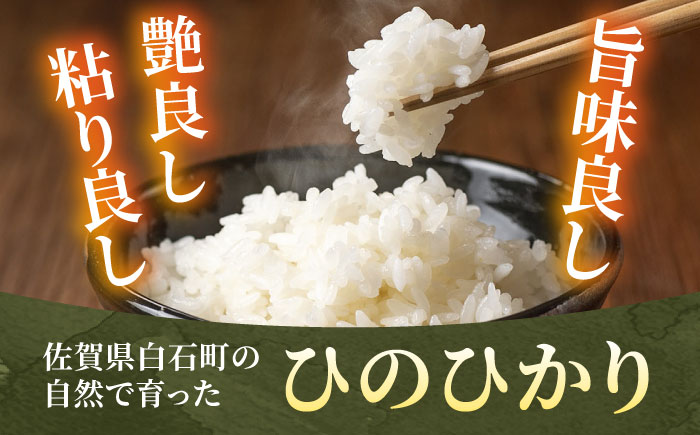 【令和7年10月以降発送】【令和7年度産】しろいしもりのお米 ひのひかり 2kg【Sunrise328】米 お米 白米 [ICD010]