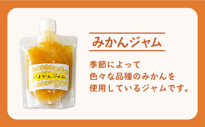【朝食に、お料理におすすめ！】手作り加工品詰め合わせ（あんこ・ジャム・ハーブ塩）【佐賀西部コロニー白石作業所】調味料 [ICL001]