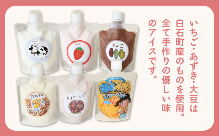 【小さいお子様にもおすすめ！】ちゅうちゅうアイス（チューブ入り）6種アソート セット【佐賀西部コロニー白石作業所】洋菓子 [ICL008]