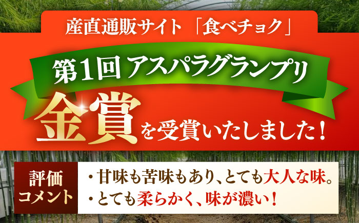 身体にやさしい こだわり 春芽アスパラガス 約500g【ひがじま農園】アスパラ [ICW005]