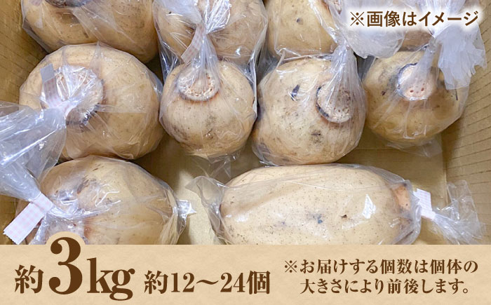 【野菜ソムリエサミット金賞】白石町産 絶品洗いれんこん約3kg【野中農園】 [IDC003]