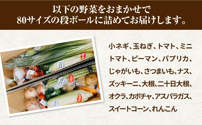 【野菜たっぷり♪】白石町産季節のおまかせ野菜詰め合わせセット【株式会社いち】農家 [IDD002]