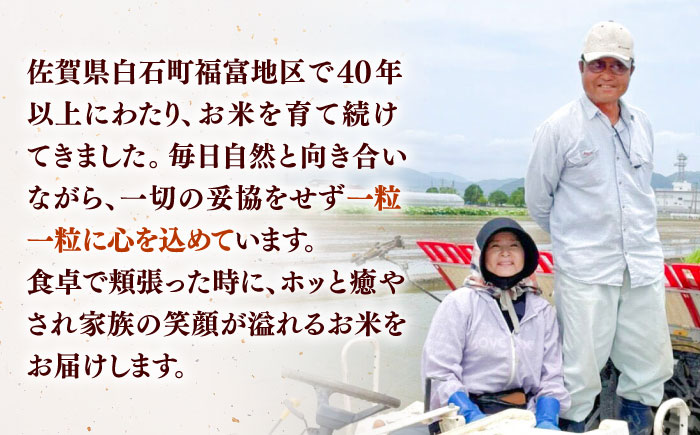 【令和7年産】 さがびより 5kg【ちわたのふぁーむ】お米 [IDE001]