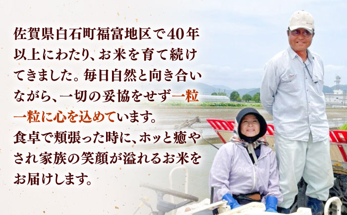 【令和7年産】お米の食べ比べセット（さがびより・夢しずく） 計10kg（各5kg）【ちわたのふぁーむ】 米 10kg 食べ比べ   特A 特A評価 精米 佐賀県産 国産米 コメ こめ お米 白米 ブランド米 精白米 おにぎり さがびより ゆめしずく 九州 佐賀県 白石町 人気 おすすめ[IDE005]