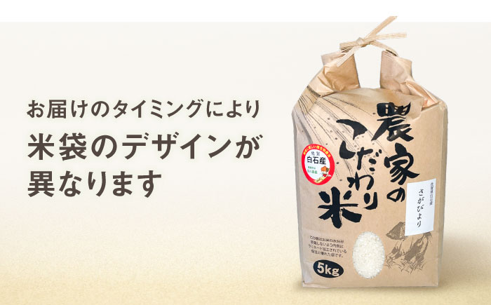さがびより5kg 【直売所にじ】 米 5kg  精米 特A 特A評価  佐賀県産 国産米 コメ こめ お米 白米 ブランド米 精白米 おにぎり さがびより 九州 佐賀県 白石町 人気 おすすめ[IDO001]