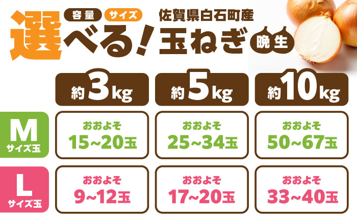 【やさしい玉ねぎ】白石産玉ねぎ 約10kg（Lサイズ）【川崎ファーム】 [IDQ006]