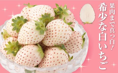 【先行予約】上品な甘さ！希少な白いちご「パールホワイト」220g×2パック / イチゴ [IZZ003]