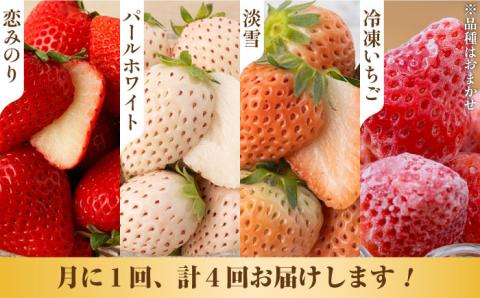 【先行予約】【全4回定期便】希少いちご食べ比べ [IZZ005]