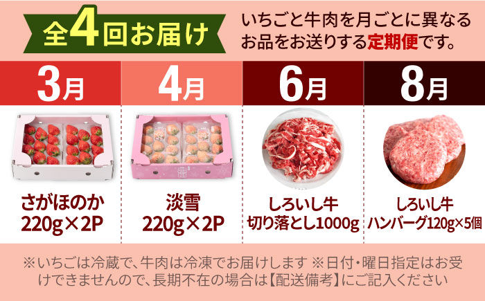 【R8年3月以降発送】【全4回定期便】産地直送！白石町産 いちごと牛肉の定期便 [IZZ019]