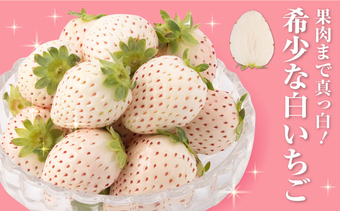 【先行予約】【産地直送】希少 白いちご「パールホワイト」220g×4パック [IZZ020] イチゴ
