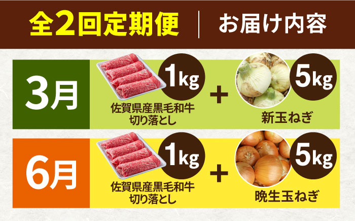 【2026年発送分先行予約！】【2回定期便】牛丼コンビ！牛肉 と 玉ねぎ / 切り落とし 玉葱 新玉 九州 [IZZ031]