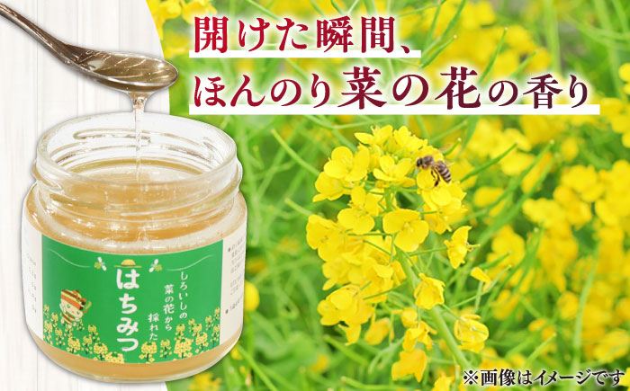 【白石町産】【糖が多くクリーミー】菜の花はちみつ 150g×2個 【道の駅しろいしカンパニー】調味料 [IAA020]