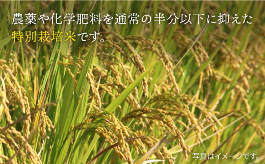 【令和6年度産】特別栽培米 白石産 ひのひかり（5kg）【道の駅しろいしカンパニー】白米 [IAA007]