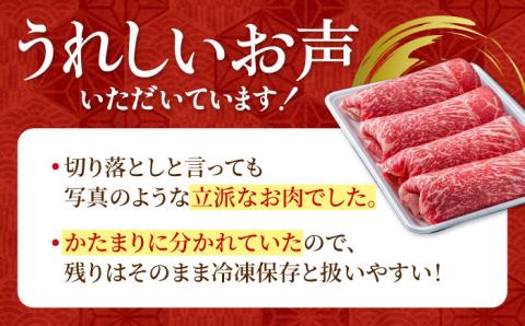 【圧倒的リピート率！】佐賀県産 黒毛和牛 贅沢 切り落とし 1kg【株式会社いろは精肉店】佐賀産和牛 牛肉 すき焼き しゃぶしゃぶ [IAG002]