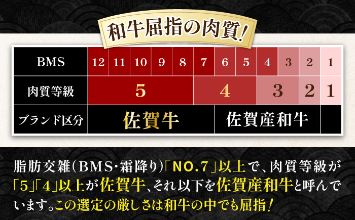 佐賀牛 贅沢 サーロイン ステーキ 250g×3枚（計750g）【株式会社いろは精肉店】牛肉 [IAG052]