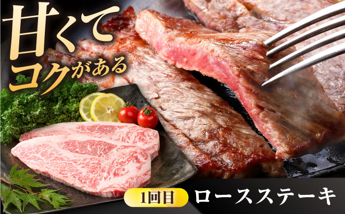【肉のプロが厳選！】【3回定期便】佐賀県産和牛 贅沢 定期便【株式会社いろは精肉店】佐賀産和牛 牛肉 [IAG068]