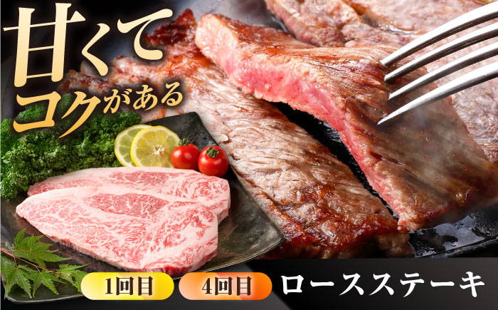 【肉のプロが厳選！】【6回定期便】佐賀県産和牛 贅沢 定期便【株式会社いろは精肉店】佐賀産和牛 牛肉 [IAG069]