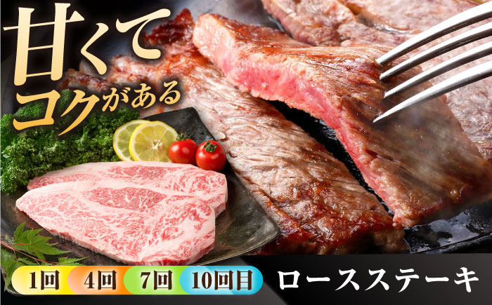 【肉のプロが厳選！】【12回定期便】佐賀県産和牛 贅沢 定期便【株式会社いろは精肉店】佐賀産和牛 牛肉 [IAG070]
