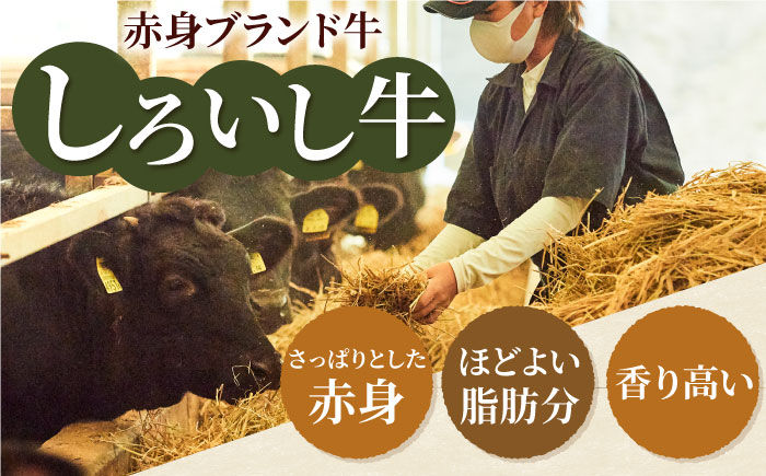 【6回定期便】佐賀県産しろいし牛 1頭まるごと定期便【有限会社佐賀セントラル牧場】牛肉 [IAH032]