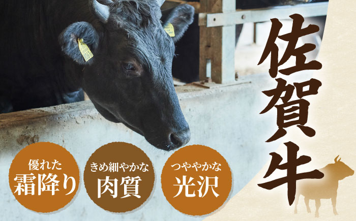 【牧場直送】【12回定期便】佐賀牛 贅沢 1頭まるごと ゴールドコース【有限会社セントラル牧場】牛肉 [IAH090]