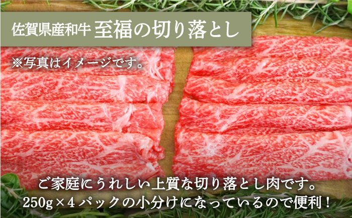 【牧場直送】人気返礼品セット！牛肉100%ふんわりロールステーキ 4個＆佐賀牛 切り落とし 1000g（250g×4パック）【有限会社佐賀セントラル牧場】お肉 [IAH132]