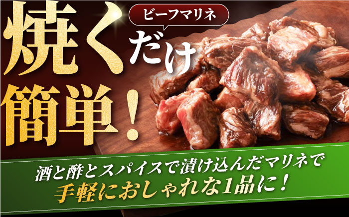 【12回定期便】しろいし牛1頭まるごと 食卓定期便 大容量 マリネ 焼肉 ハンバーグ【有限会社佐賀セントラル牧場】牛肉 [IAH223]