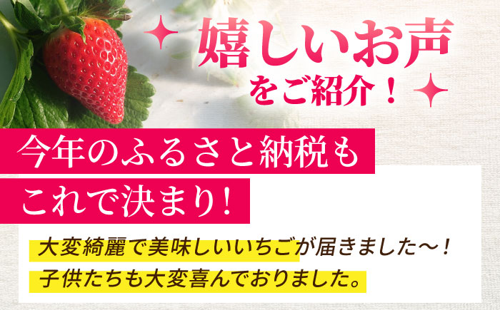 【R8年1月以降発送】 白石町産 いちごさん （150g×6パック） 【佐賀県農業協同組合】 イチゴ [IAK016]