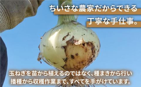 【先行予約】【農家直送！】 新玉ねぎ 約4kg と ドレッシング 2本セット 【玉葱農家 陣内ちひろ】玉葱 玉ねぎ タマネギ 新玉葱 [IAO016]