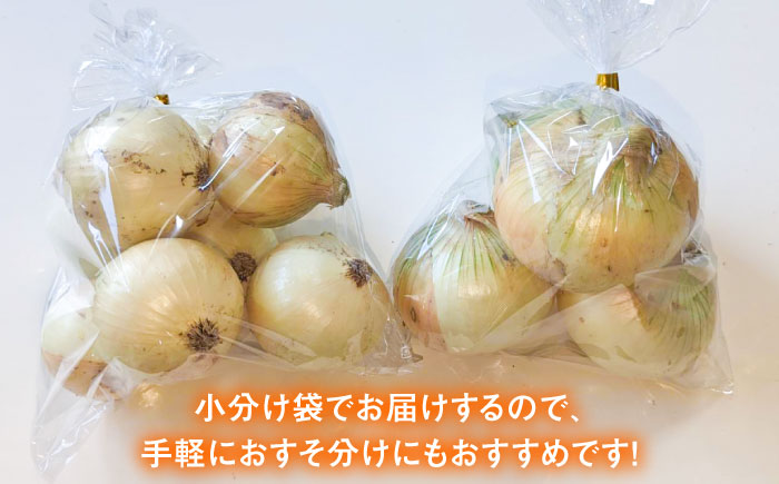 【先行予約】小分けがうれしい！玉葱農家のこだわり 玉ねぎ 約8kg以上（8袋から12袋）【玉葱農家 陣内ちひろ】玉葱 たまねぎ オニオン 晩生 [IAO020]