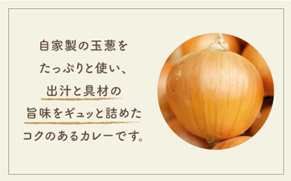 【素材の旨味たっぷり】玉葱農家の 玉葱黒カレー（5袋）【玉葱農家 陣内ちひろ】玉葱 玉ねぎ タマネギ カレー 黒カレー [IAO021]