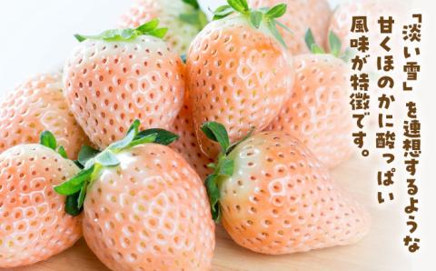 【先行予約】【農家直送】ほんのりピンク白いちご希少な「淡雪」220g×2パック 【岸川農園】 イチゴ [IAP005]