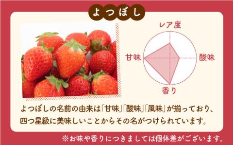 【先行予約】【農家直送】その美味しさ四つ星級！「よつぼし」220g×2パック 【岸川農園】いちご [IAP009]