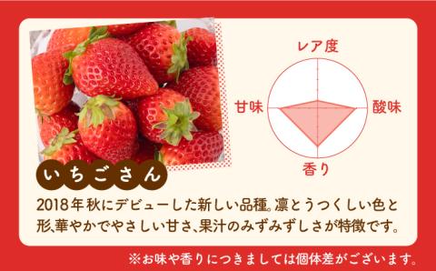 【先行予約】【全3回定期便】いちご 3品種 食べ比べ【岸川農園】イチゴ [IAP022]
