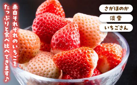 【先行予約】【全6回定期便】プレミアム いちご 食べ比べ【岸川農園】イチゴ [IAP023]