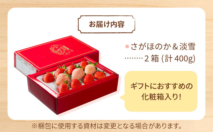 【先行予約】【化粧箱入り】淡雪＆さがほのか 赤白 いちごセット200g × 2パック 合計400g 【岸川農園】イチゴ [IAP032]