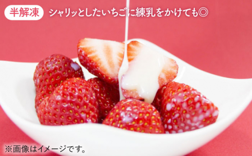 【R8年5月以降発送】【贅沢2種食べ比べ】白石産冷凍いちご（さがほのか・パールホワイト）750g 【ハヤシダファーム】イチゴ [IAQ003]