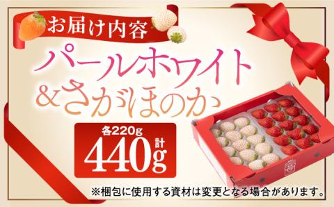 【先行予約】【農家直送】赤白「パールホワイト」＆「さがほのか」各220g【ハヤシダファーム】いちご [IAQ005]