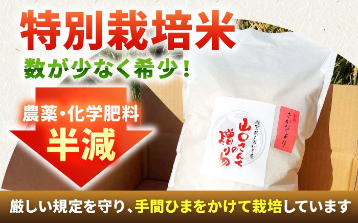 【令和7年11月以降順次発送】【令和7年度産】特別栽培米 さがびより 5kg 白米 山口さんちの贈り物 【y'scompany】白米 [IAS005]