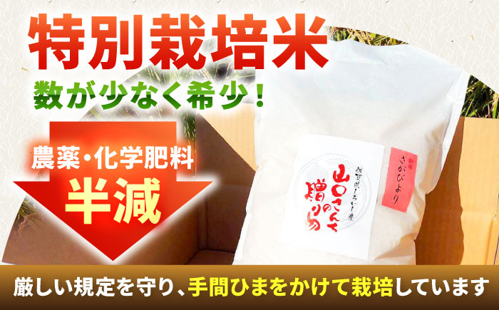 【令和7年11月以降順次発送】【令和7年度産】 特別栽培米 さがびより（玄米） 10kg 【y'scompany】 [IAS022]