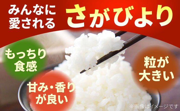 白石町産 特別栽培 さがびより（白米）5kg＆スパイス香る 玉葱黒カレー（レトルト）5袋 詰め合わせ【AGUMIGroup（農業女子グループ）】 [IAT003]