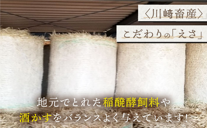 【贅沢な味わい】牧場直営店の黒毛和牛 ロースステーキ 1000g（4枚入り）【川崎畜産】牛肉 [IAX015]