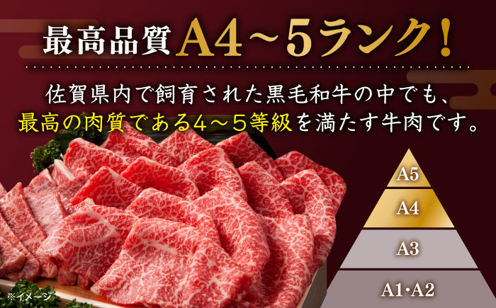 佐賀牛 切り落とし600g（300g×2パック）【川崎畜産】牛肉 [IAX030]