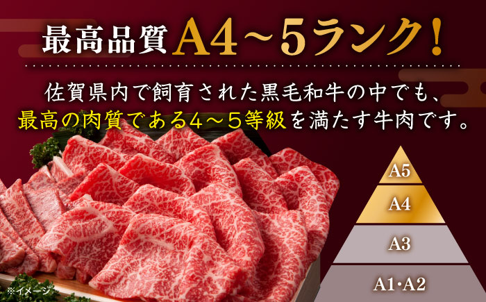 佐賀牛 焼肉用 400g 厳選部位 ロース・モモ・バラからいずれか【川崎畜産】牛肉 [IAX033]