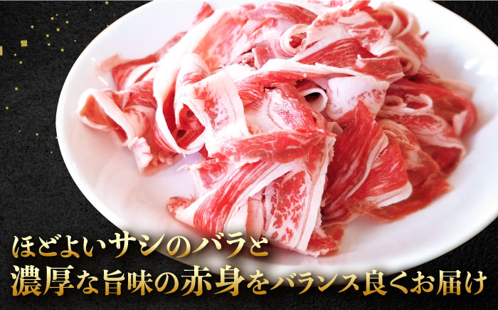 牧場直営店の黒毛和牛 切り落とし 400g（1パック）【川崎畜産】牛肉 [IAX043]
