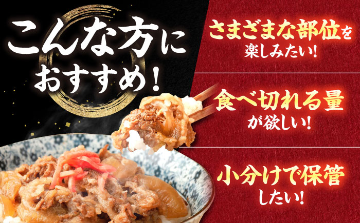 【12回定期便】肉ざんまい定期便 一人暮らし 少量【川崎畜産】牛肉 [IAX051]